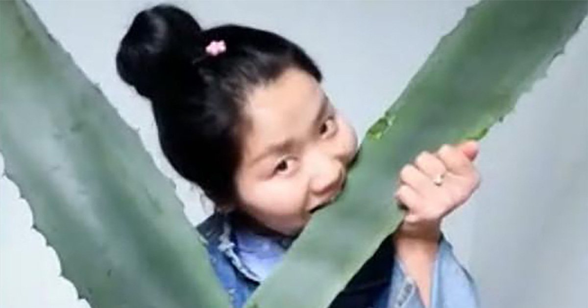 Vlogger Tries To Prove Health Benefits Of Aloe Vera, Poisons Herself Live On Camera