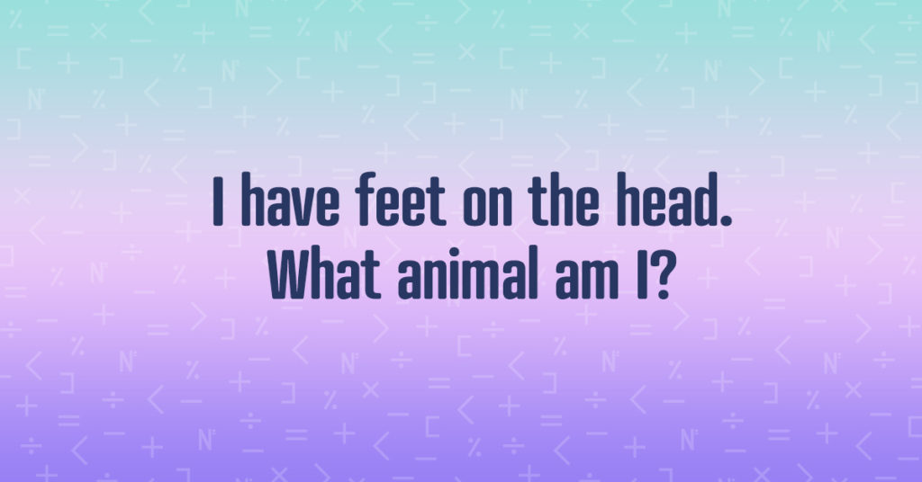 11 Riddles That Can Challenge Your Brain And Exercise Your Mind