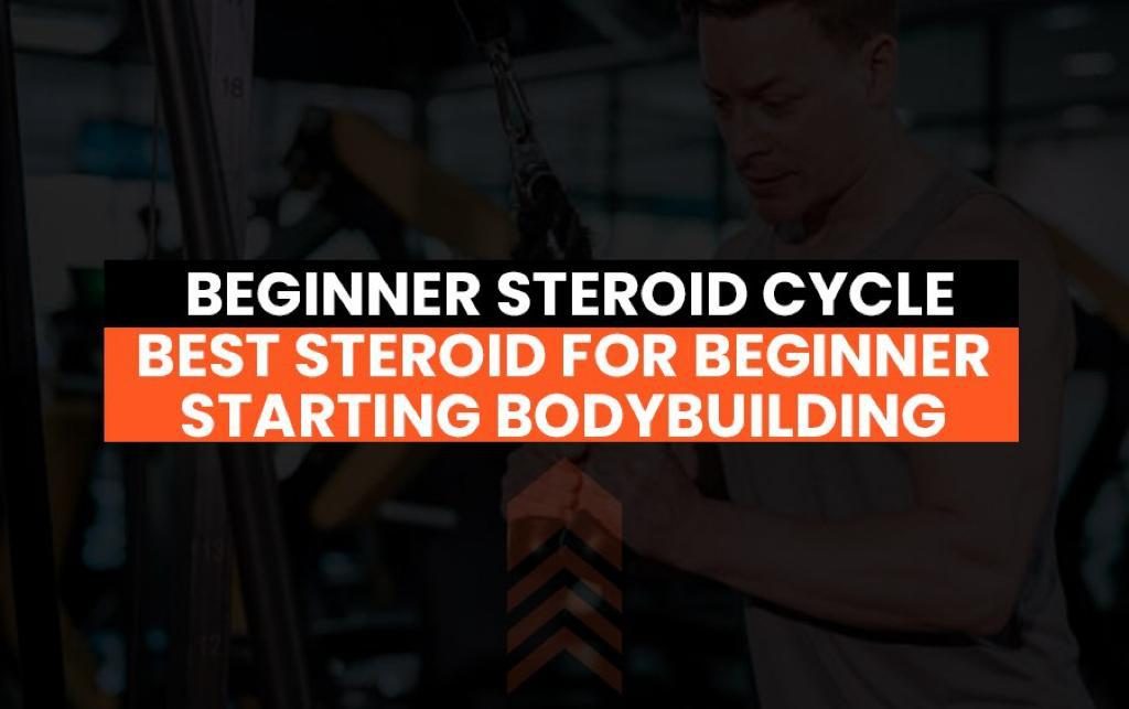 Beginner Steroid Cycle Best Steroid For Beginner Starting Bodybuilding