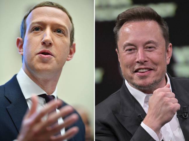 Mark Zuckerberg's Savage Joke In Response To Elon Musk's Cage Fight Challenge