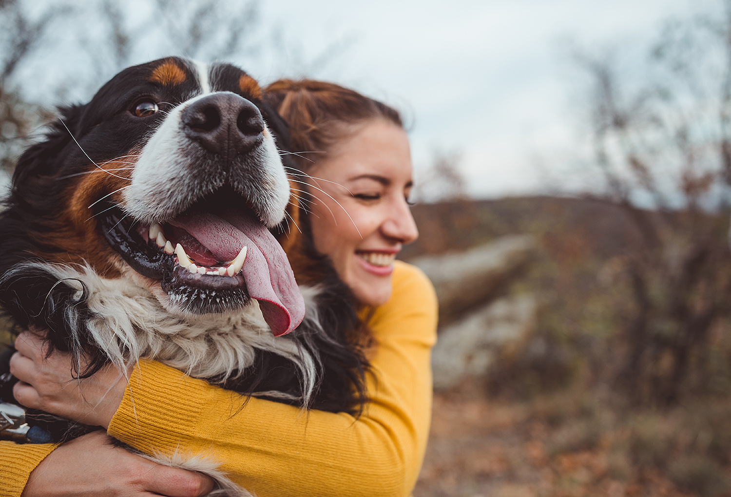 Why Should You Prefer To Buy The Best Gifts For Your Dog Lover Friends?
