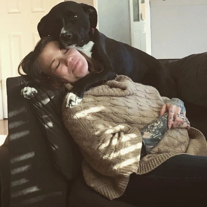 17 Very Affectionate Pets