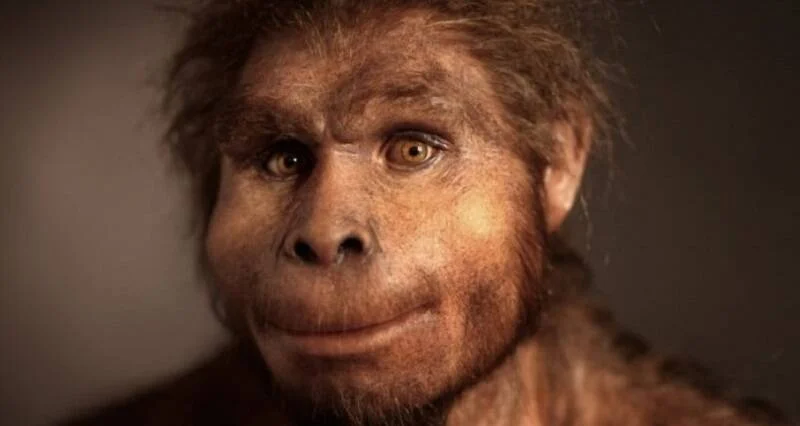 Ancient Humans Mated With Mysterious Ancestor, Whose Hidden DNA Was ...