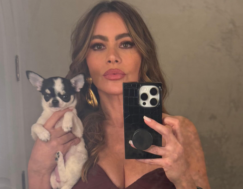 Sofia Vergara Finds Love Again With A Familiar Face—Here's He Is!