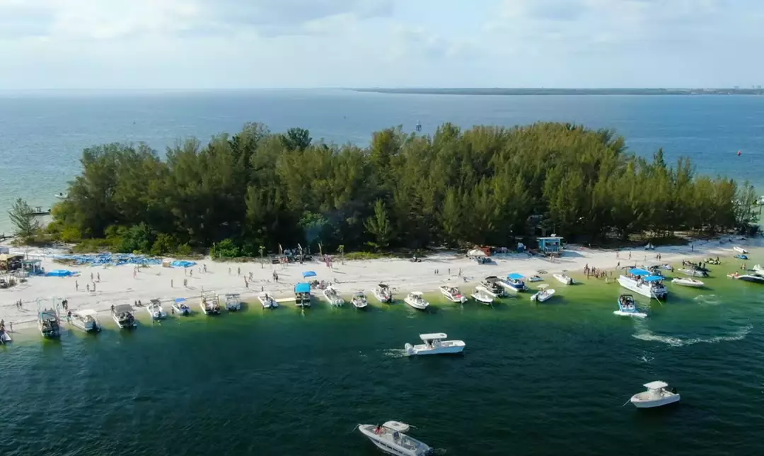 Four Friends Purchased An Abandoned Island In Florida For ,000 And Turned It Into A Stunning Paradise Valued At Million